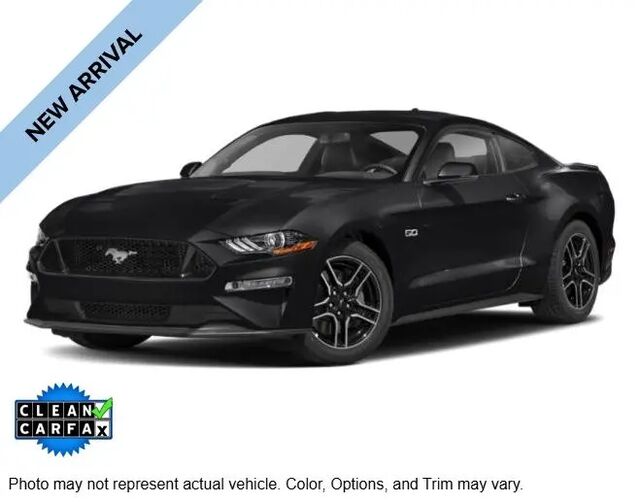 2019 Ford Mustang GT Premium — photo 1 of 1