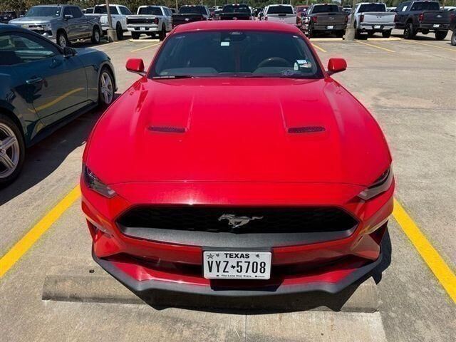 2023 Ford Mustang EcoBoost Premium — photo 1 of 1