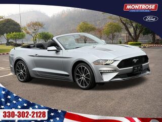 2022 Ford Mustang EcoBoost