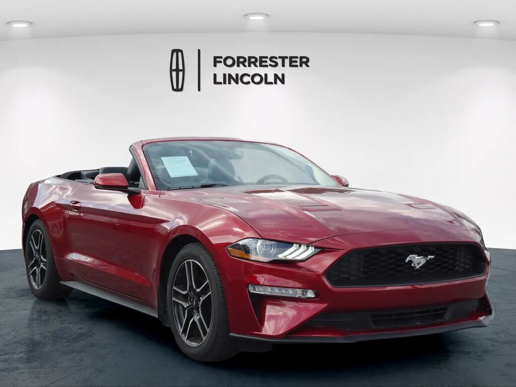 2019 Ford Mustang EcoBoost Premium — photo 1 of 13
