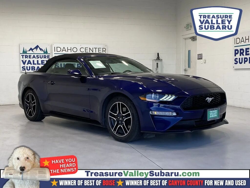 2019 Ford Mustang EcoBoost Premium — photo 1 of 13