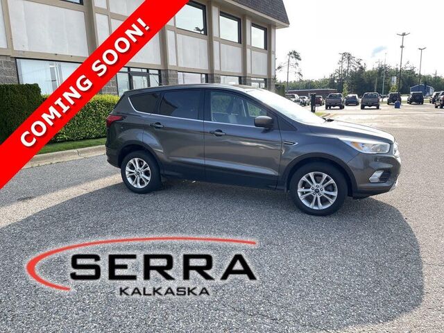 2019 Ford Escape SE