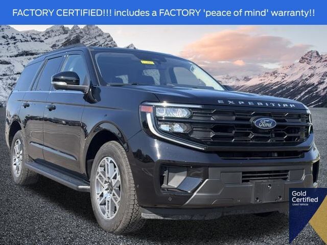 2025 Ford Expedition Active — photo 1 of 1