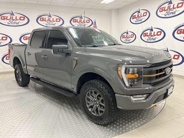 2021 Ford F-150 Tremor — photo 1 of 13
