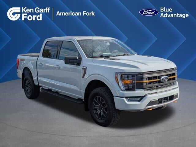 2023 Ford F-150 Tremor — photo 1 of 13
