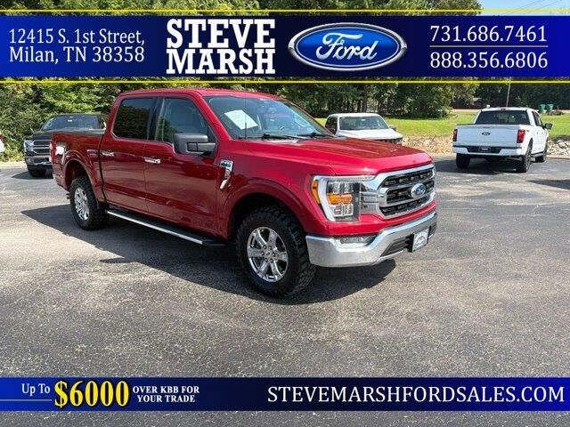 2022 Ford F-150 XLT