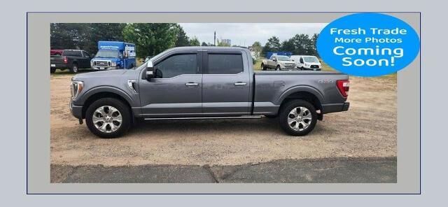 2021 Ford F-150 Platinum