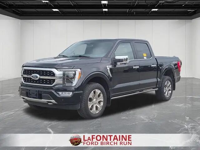 2021 Ford F-150 Platinum — photo 1 of 12