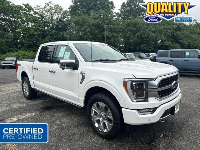 2023 Ford F-150 Platinum
