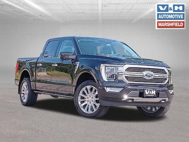 2021 Ford F-150 Limited — photo 1 of 13