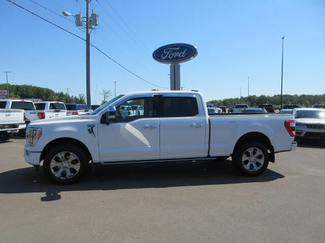 2021 Ford F-150 Platinum