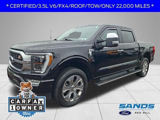 2021 Ford F-150 Platinum — photo 1 of 13