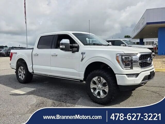 2023 Ford F-150 Platinum — photo 1 of 1