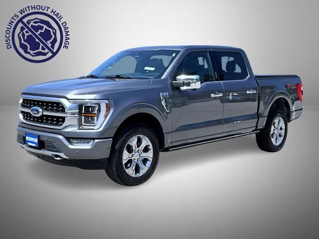 2021 Ford F-150 Platinum