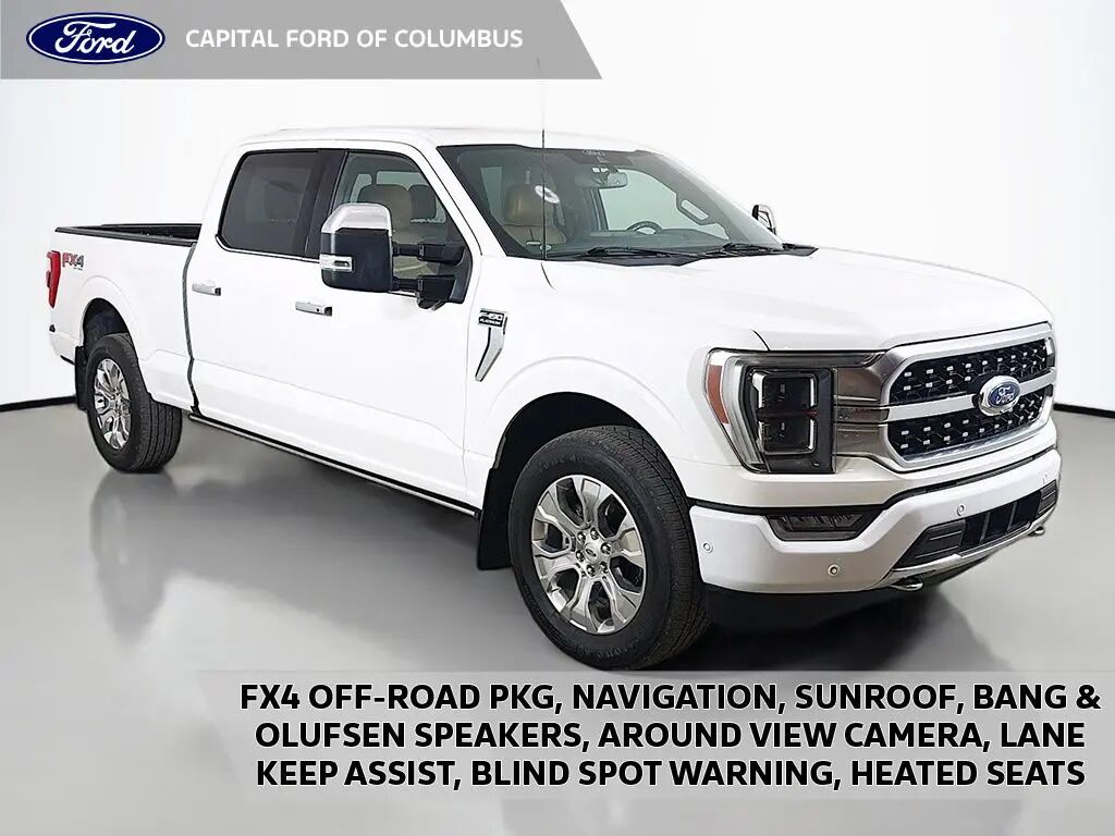 2021 Ford F-150 Platinum — photo 1 of 11