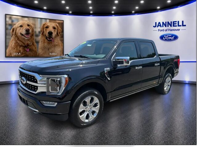 2023 Ford F-150 Platinum