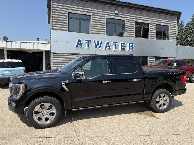 2022 Ford F-150 Platinum