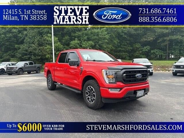 2023 Ford F-150 XLT