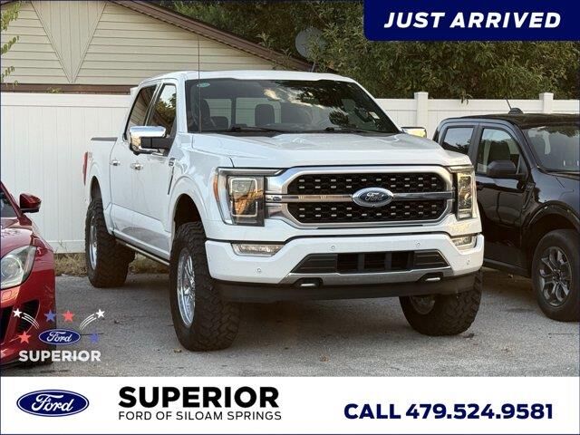 2023 Ford F-150 Platinum — photo 1 of 1