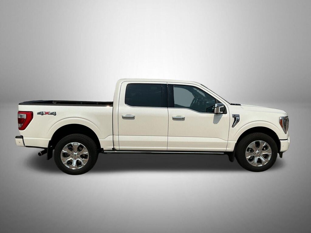 2023 Ford F-150 Platinum — photo 1 of 1