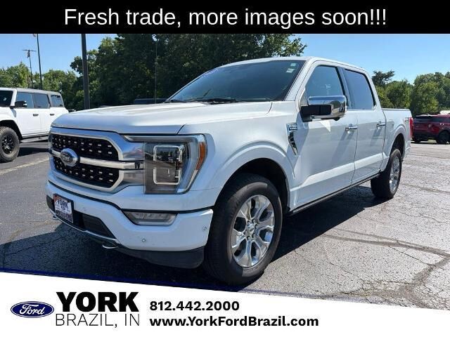 2023 Ford F-150 Platinum — photo 1 of 13