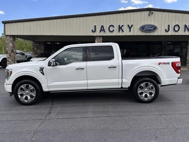 2023 Ford F-150 Platinum