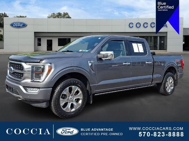 2021 Ford F-150 Platinum — photo 1 of 13