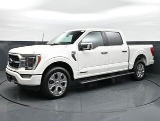 2021 Ford F-150 Platinum — photo 1 of 13