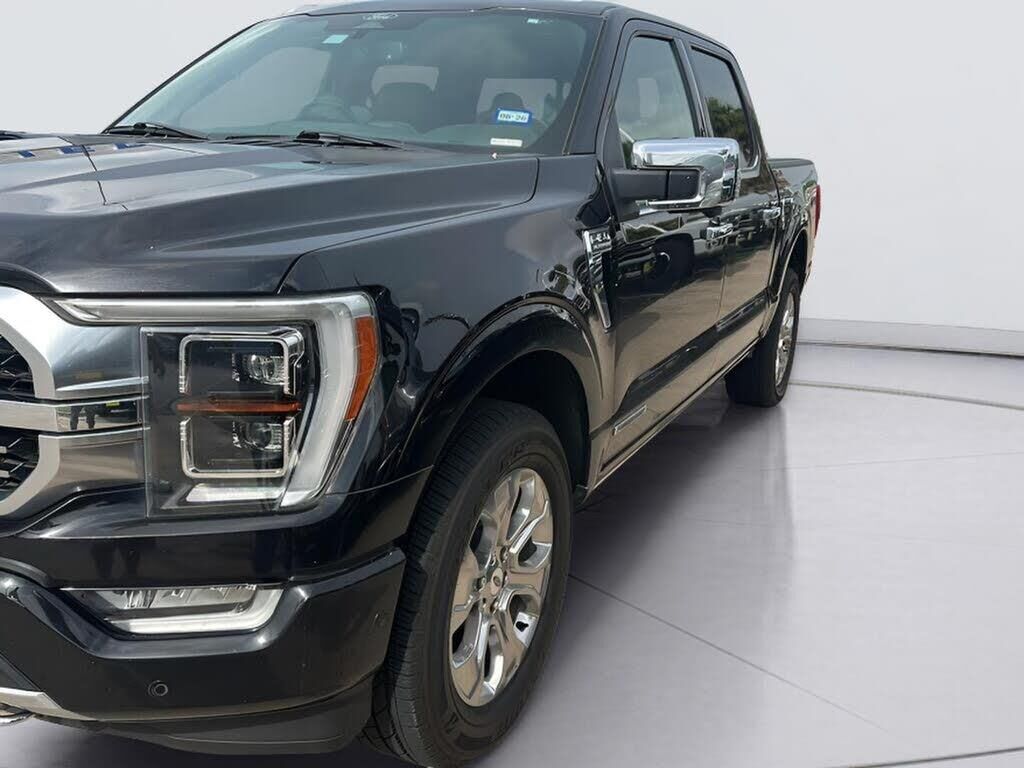 2022 Ford F-150 Platinum — photo 1 of 1