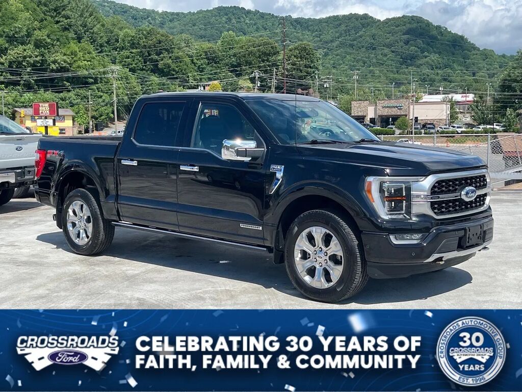 2022 Ford F-150 Platinum — photo 1 of 13