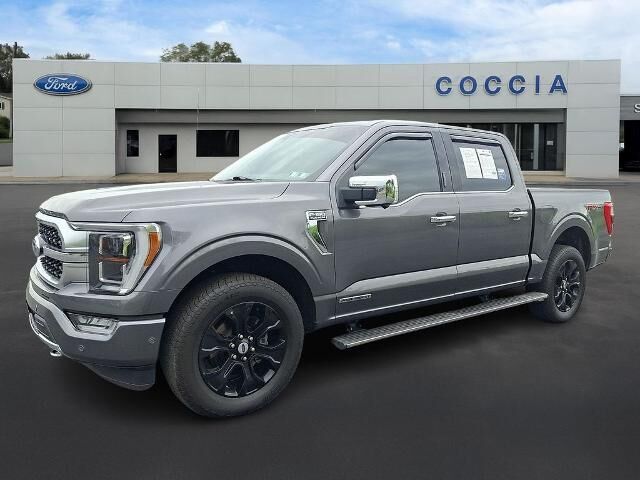 2021 Ford F-150 Platinum