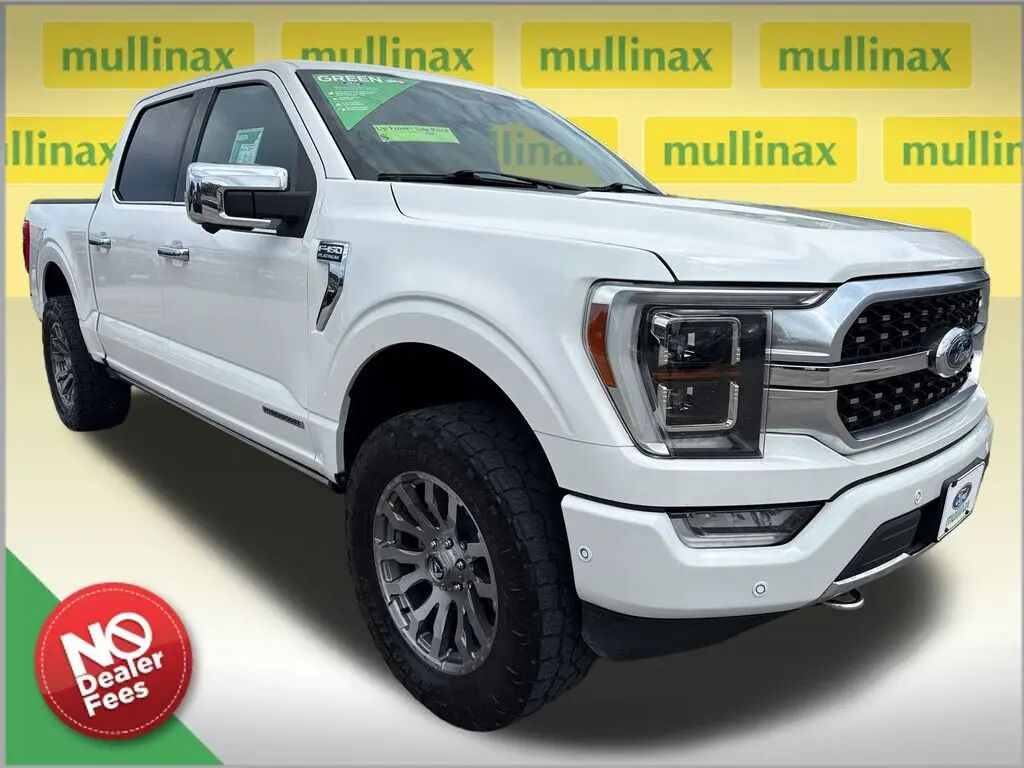 2021 Ford F-150 Platinum — photo 1 of 9
