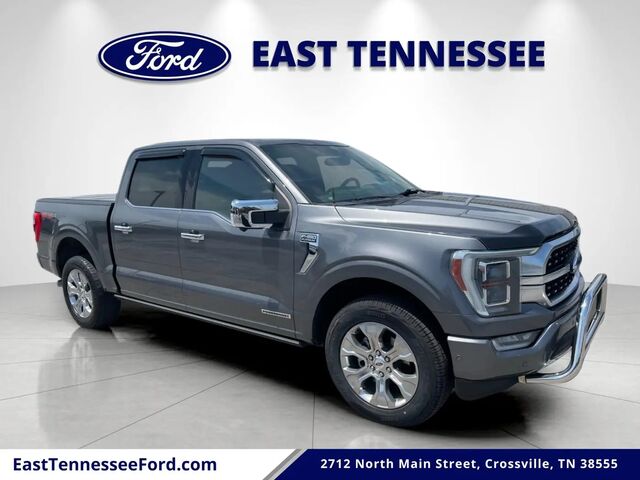 2022 Ford F-150 Platinum