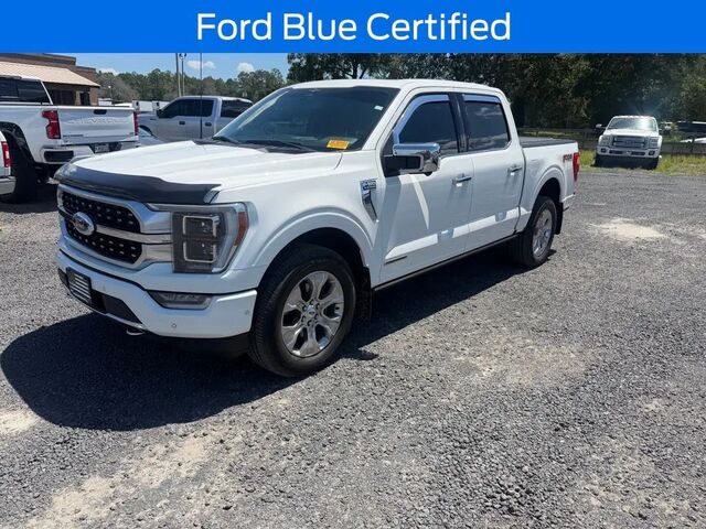 2023 Ford F-150 Platinum
