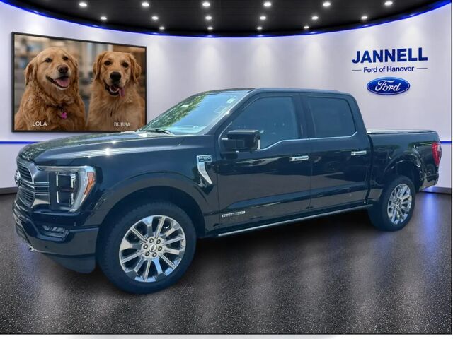 2023 Ford F-150 Limited