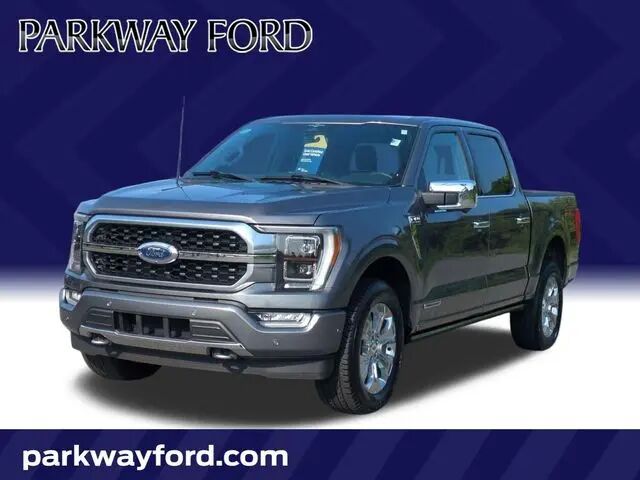 2023 Ford F-150 Platinum