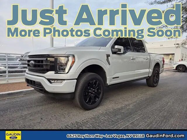 2023 Ford F-150 Platinum