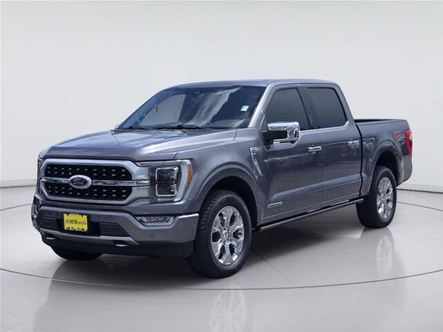 2021 Ford F-150 Platinum