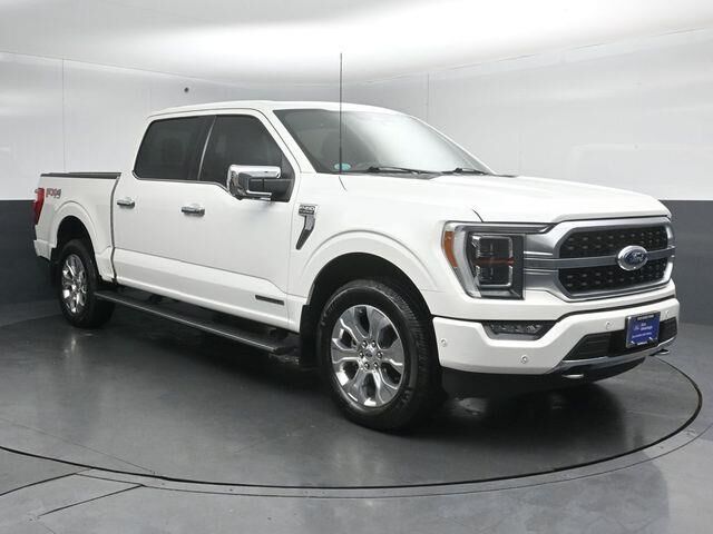 2022 Ford F-150 Platinum — photo 1 of 13