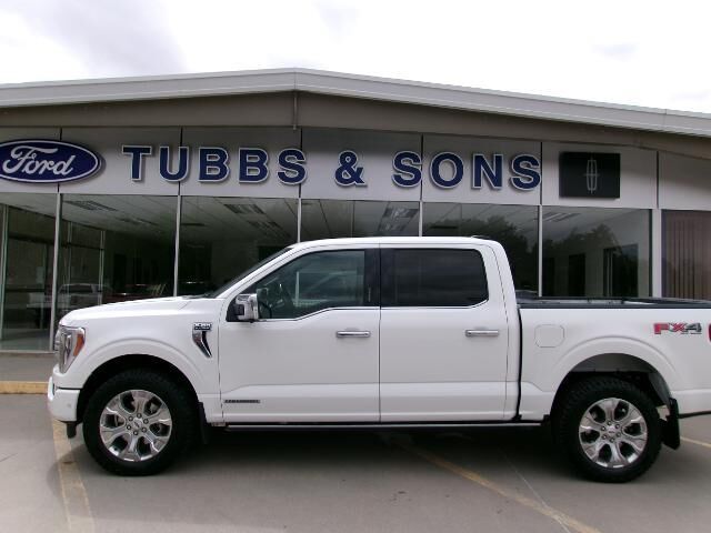2022 Ford F-150 Platinum