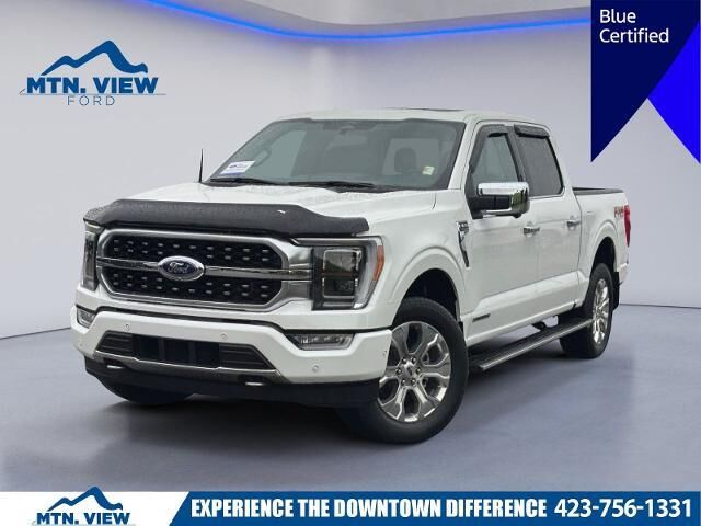 2022 Ford F-150 Platinum