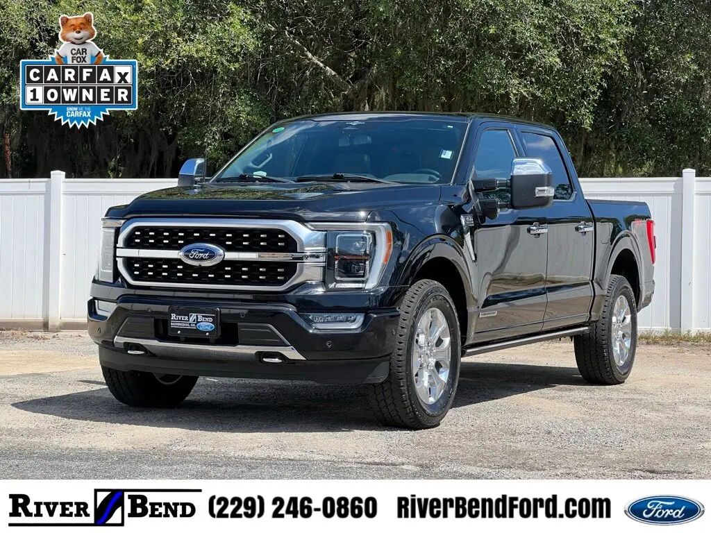 2023 Ford F-150 Platinum — photo 1 of 11