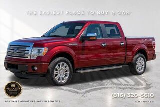 2013 Ford F-150 Platinum