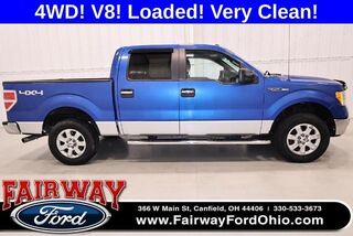 2013 Ford F-150 XL