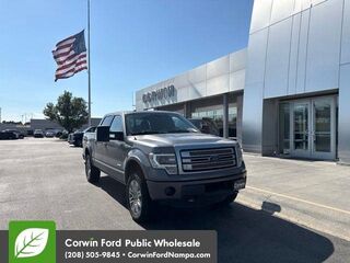 2013 Ford F-150 Platinum