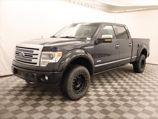 2014 Ford F-150 Platinum