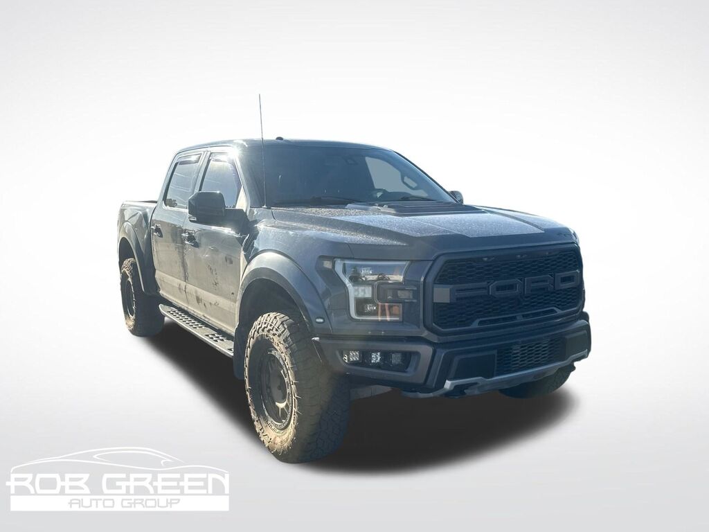 2018 Ford F-150 Raptor — photo 1 of 2