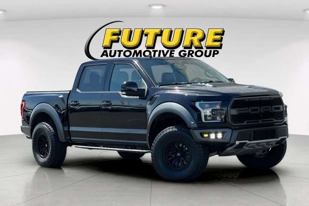2019 Ford F-150 Raptor — photo 1 of 13