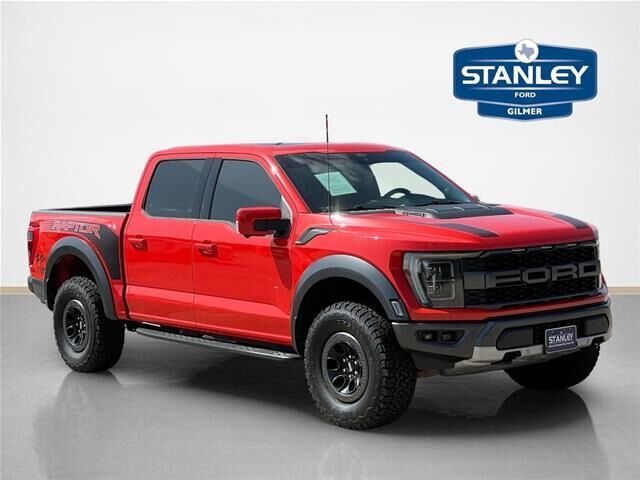 2022 Ford F-150 Raptor — photo 1 of 13