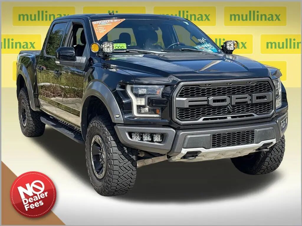 2018 Ford F-150 Raptor — photo 1 of 10